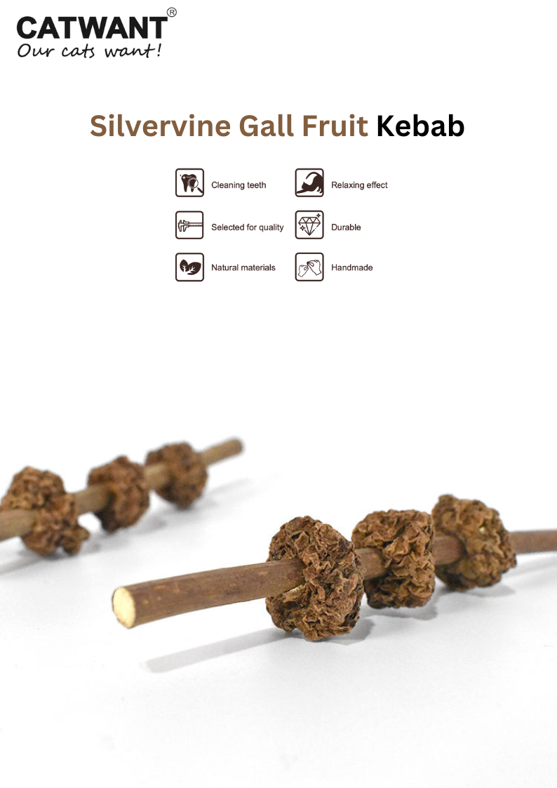 Silvervine Gall Fruit Kebab