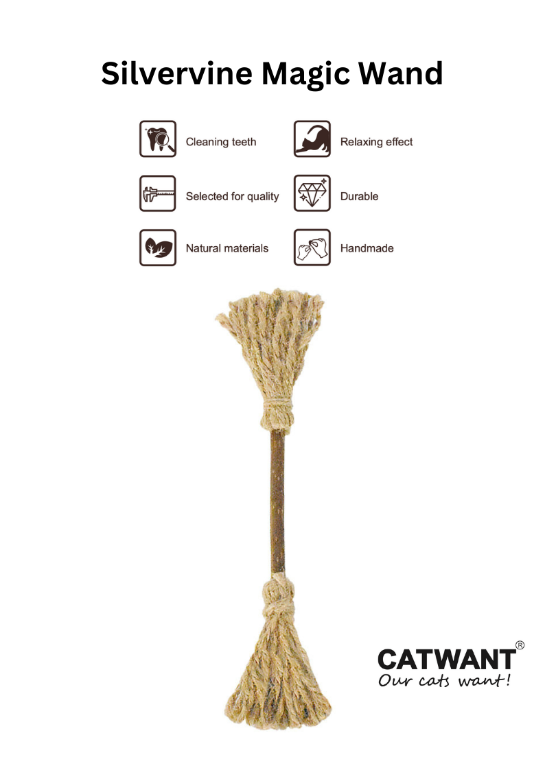Silvervine Magic Wand