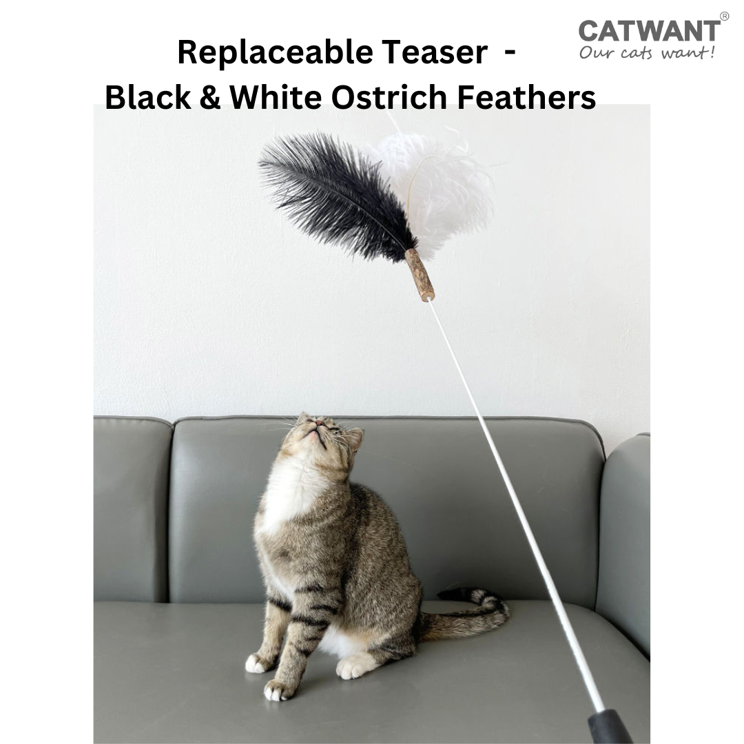 Replaceable Teaser - Black & White Ostrich Feathers