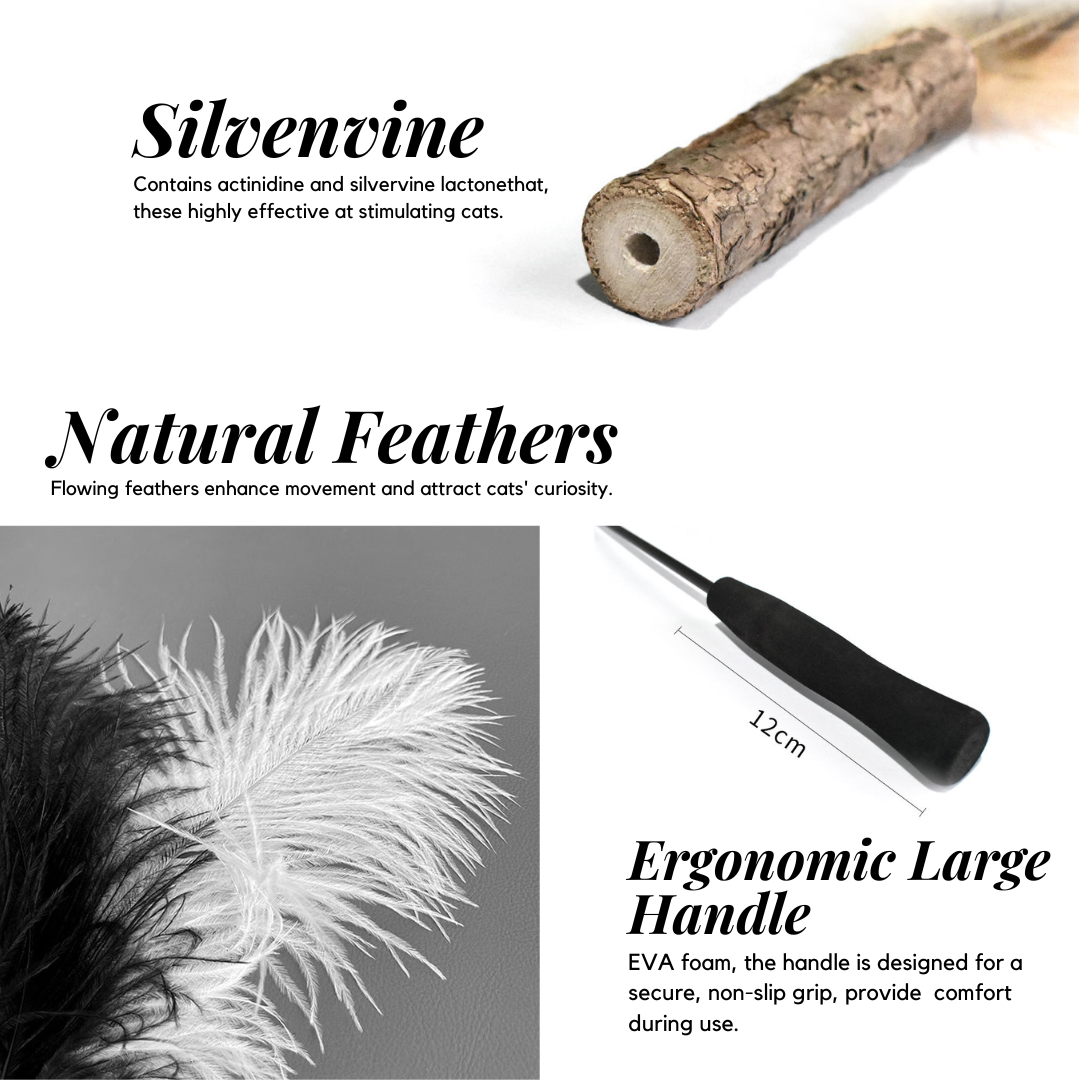 Replaceable Teaser - Black & White Ostrich Feathers