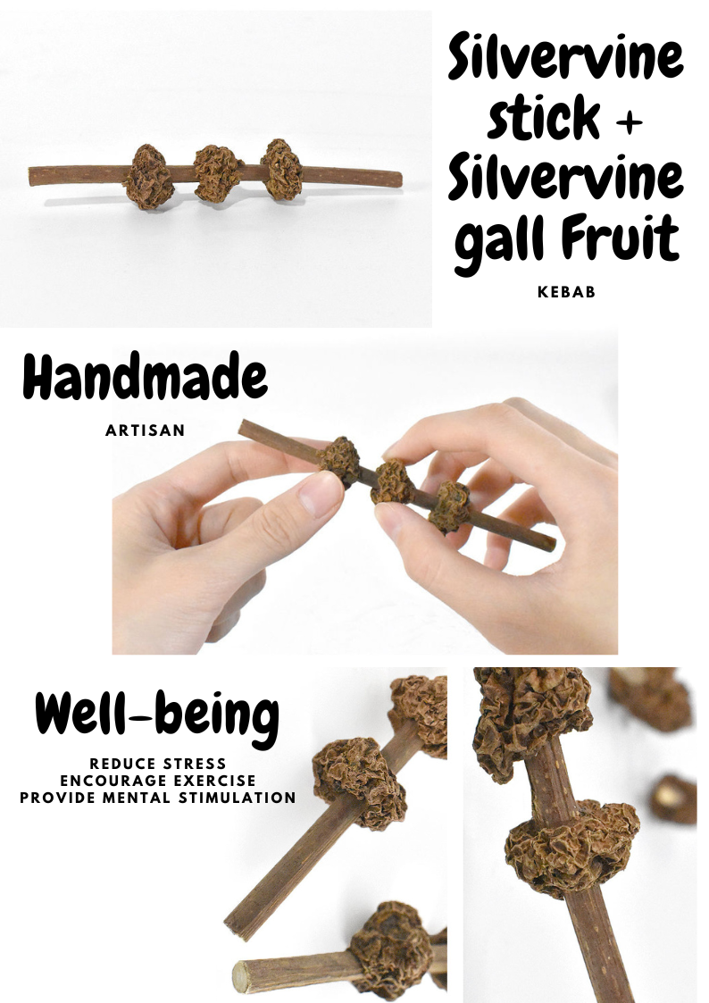 Silvervine Gall Fruit Kebab