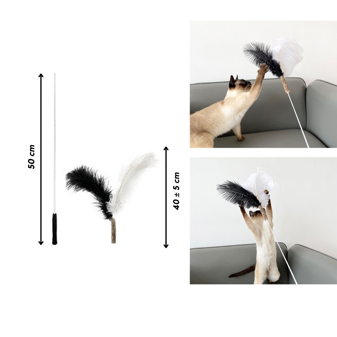 Replaceable Teaser - Black & White Ostrich Feathers