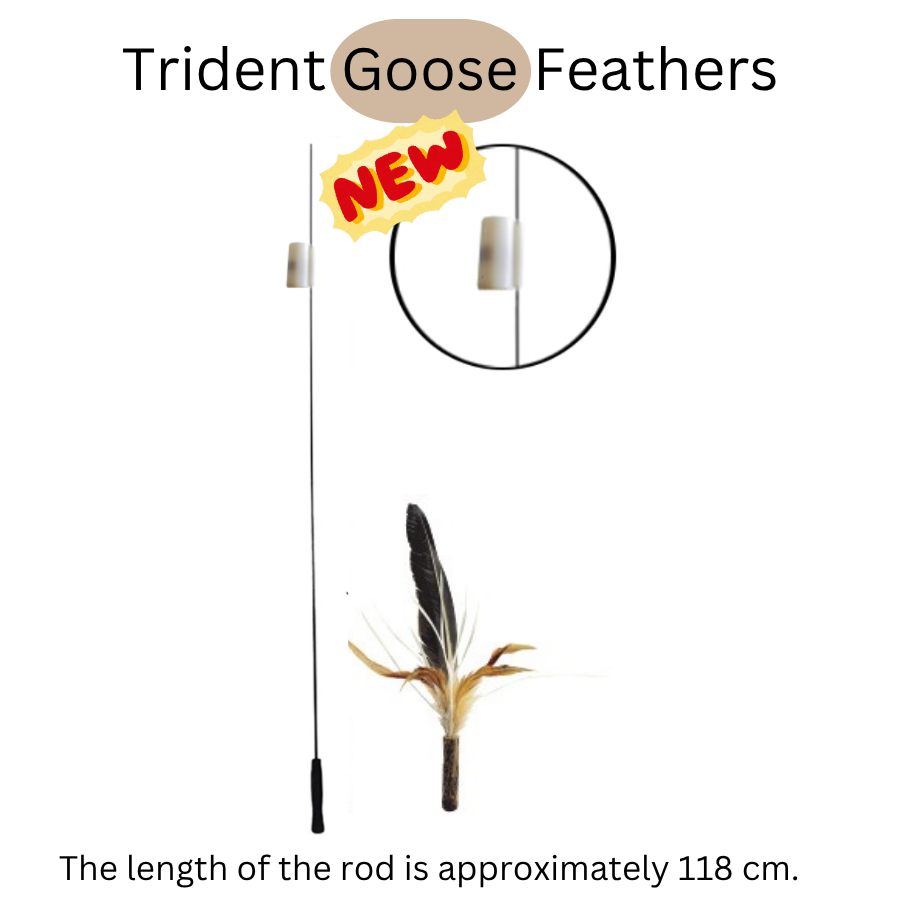 Extra Long Replaceable Teaser - New Version with Bird Chirping Device