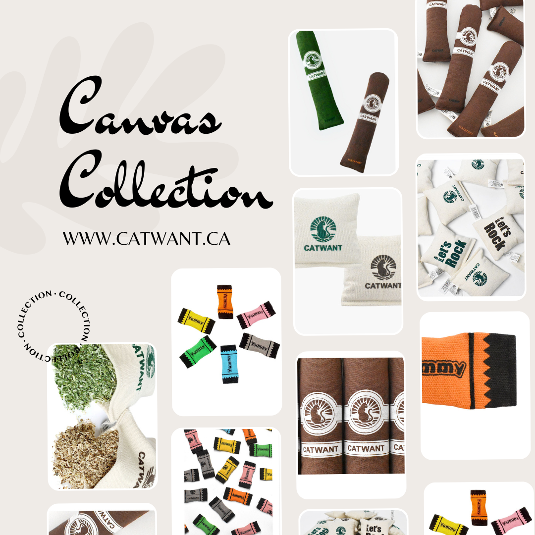 Canvas Toys