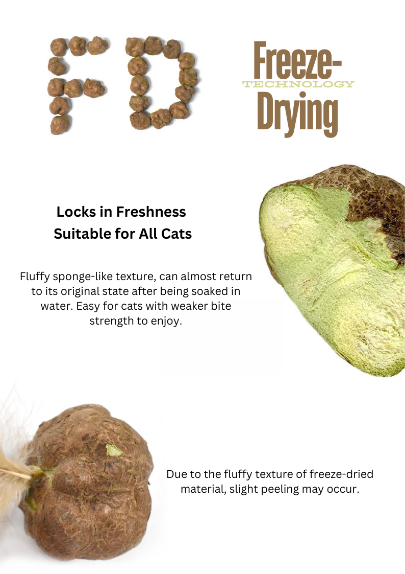 Freeze Dried Silvervine Gall Fruit Collection
