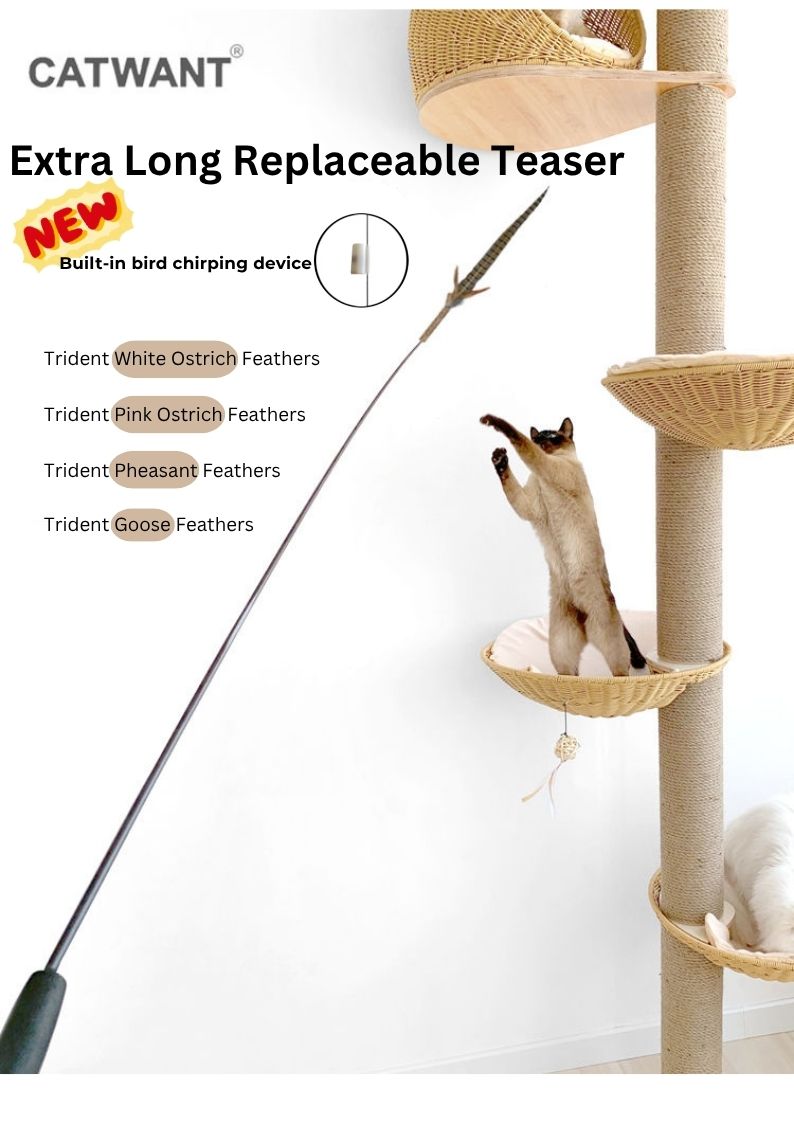 Extra Long Replaceable Teaser - New Version with Bird Chirping Device