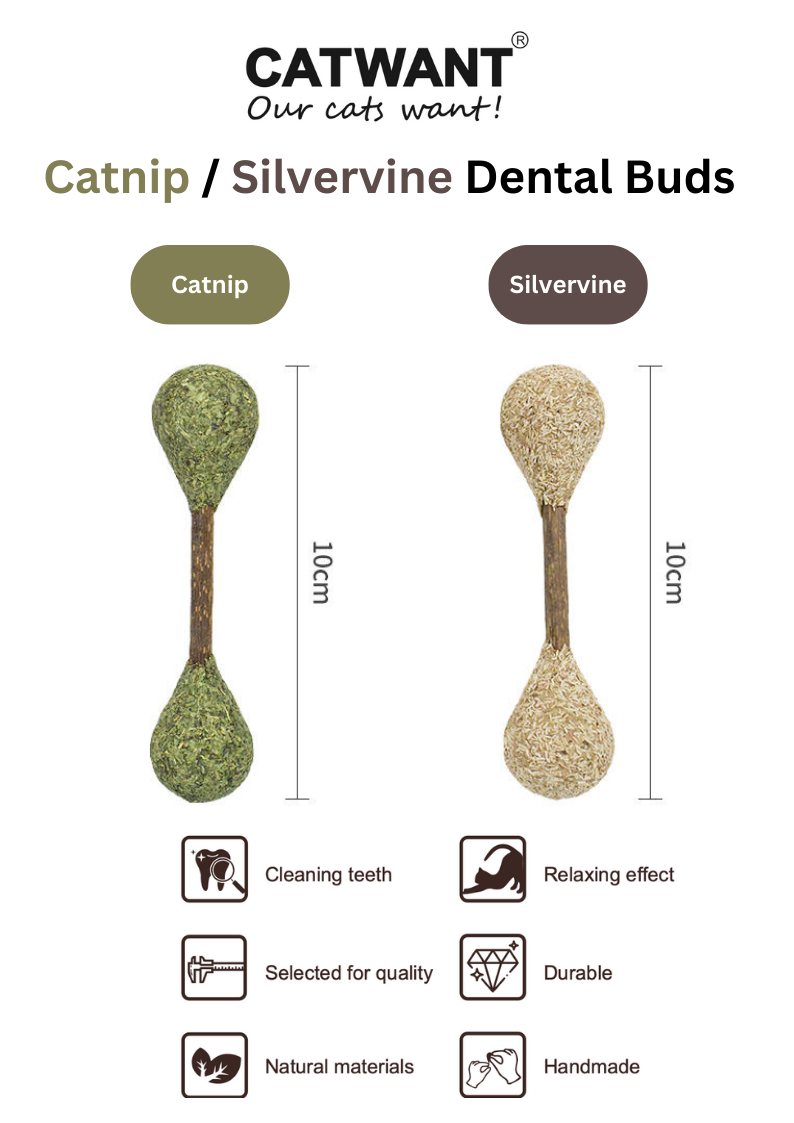 Catnip / Silvervine Dental Buds