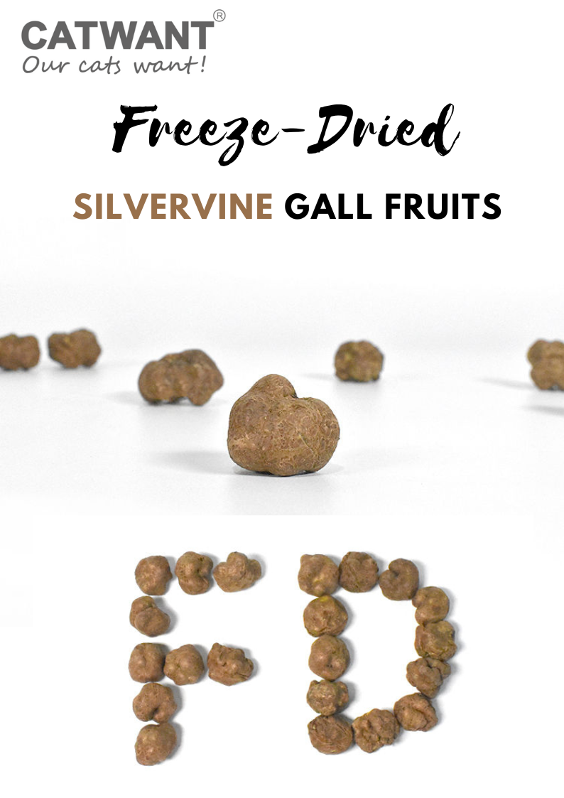 Freeze-Dried Silvervine Gall Fruits, 20g