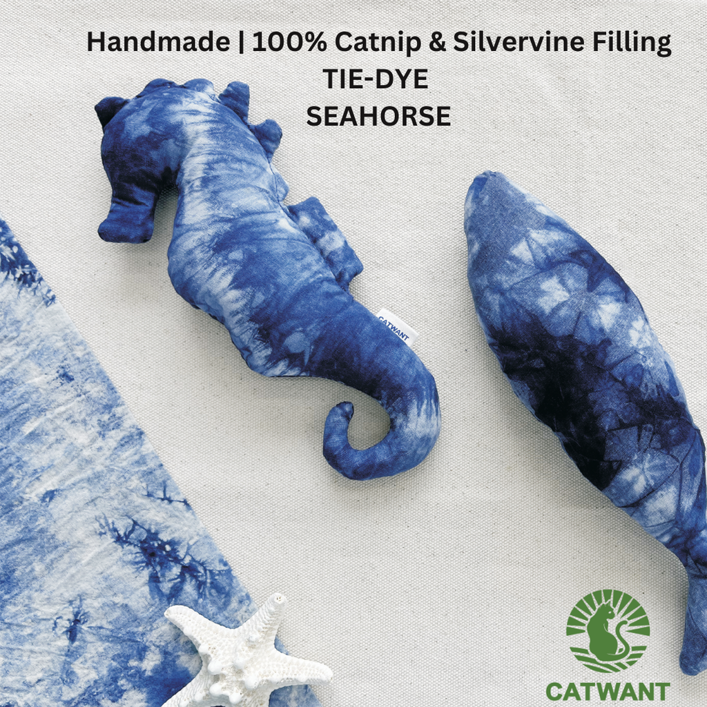 Tie-Dye Seahorse