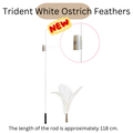 Extra Long Replaceable Teaser - New Version with Bird Chirping Device