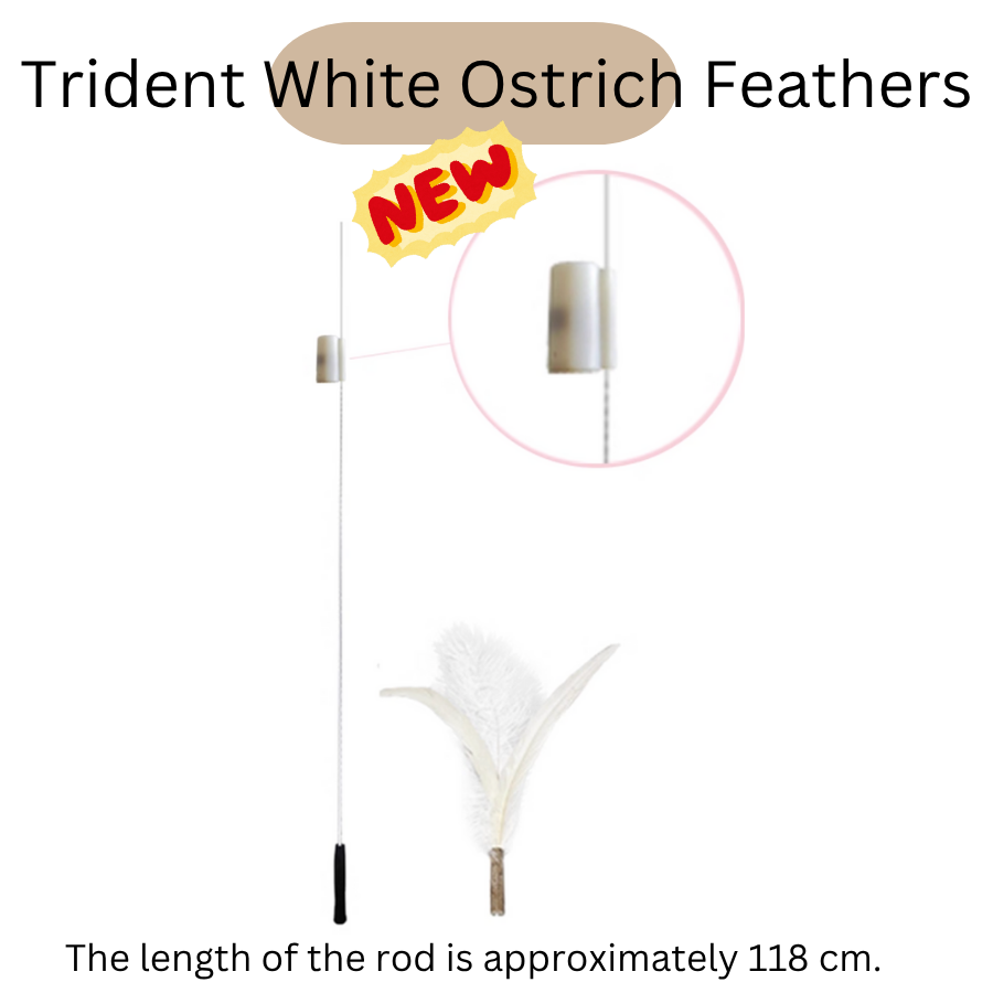 Extra Long Replaceable Teaser - New Version with Bird Chirping Device