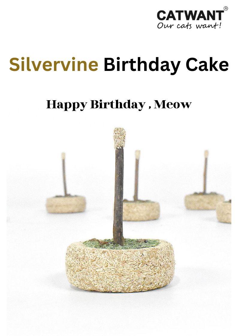 Silvervine Birthday Cake