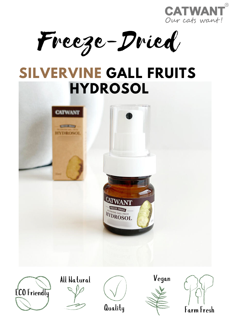 Freeze-Dried Silvervine Gall Fruit Hydrosol, 35 ML