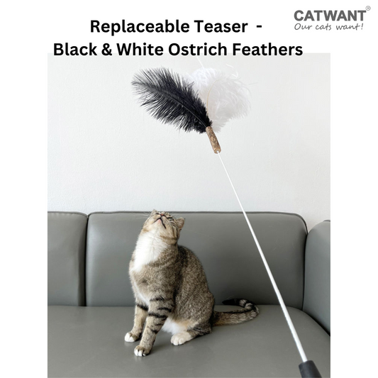 Replaceable Teaser - Black & White Ostrich Feathers