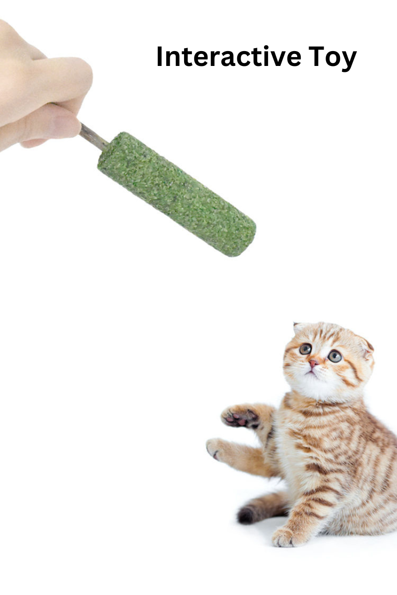 Extra Fancy Catnip Popsicle