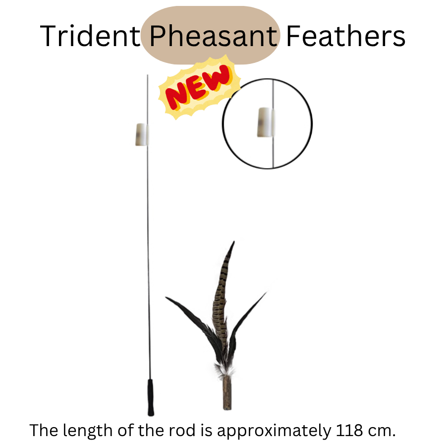 Extra Long Replaceable Teaser - New Version with Bird Chirping Device