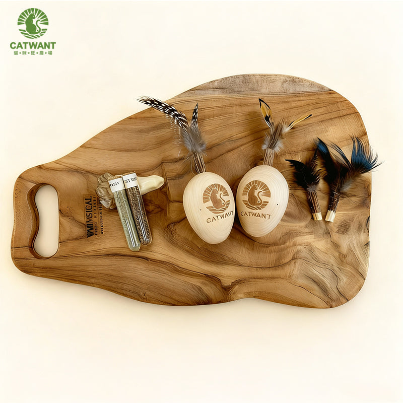WOODEN EGG TEASER
