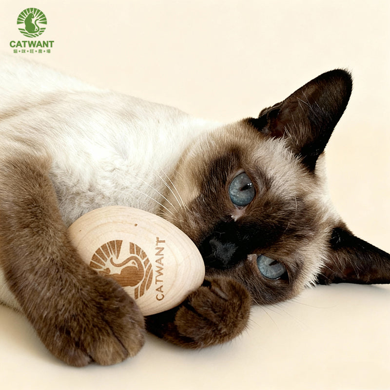 WOODEN EGG TEASER