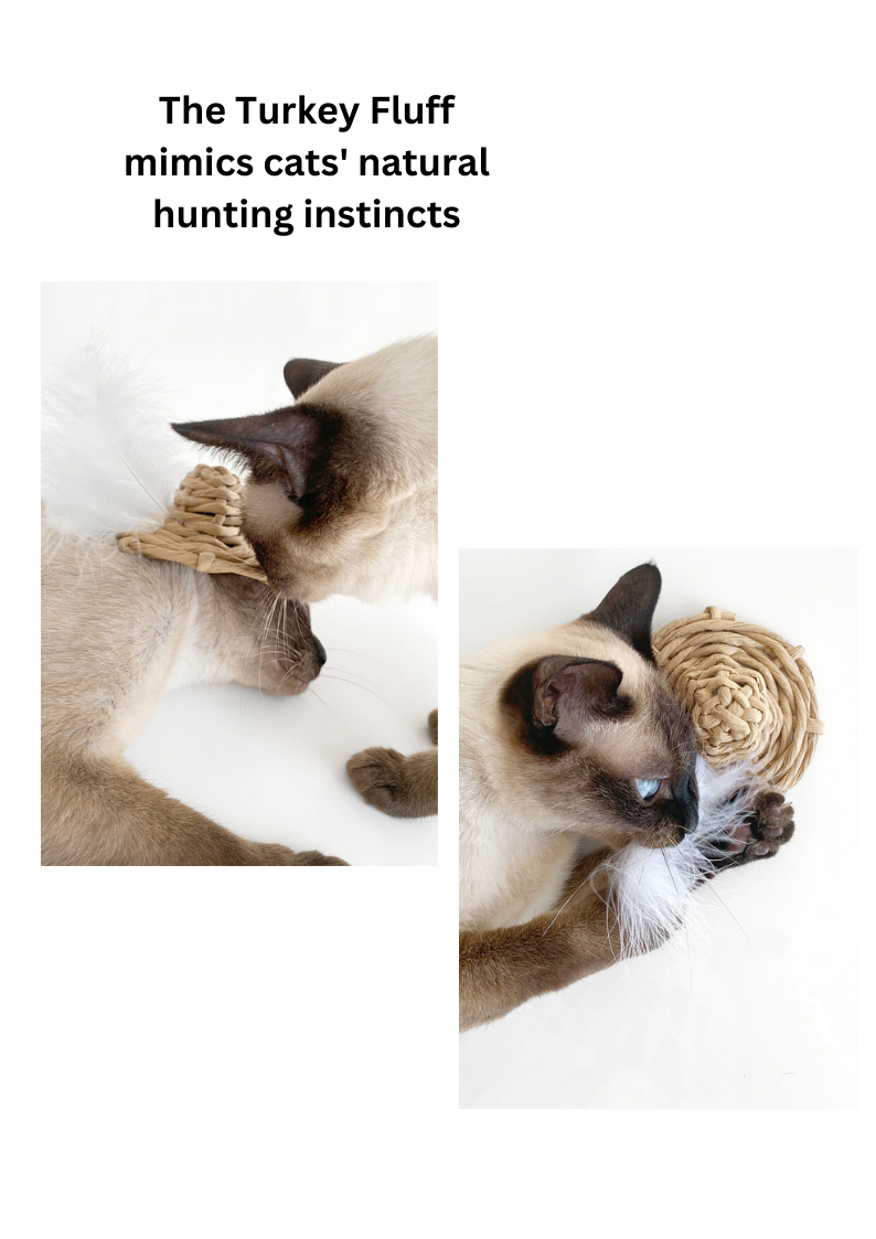 Woven Silvervine Gall Fruit Sunhat