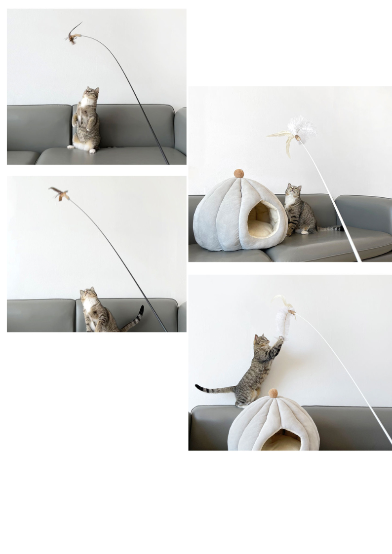 Extra Long Replaceable Teaser - New Version with Bird Chirping Device