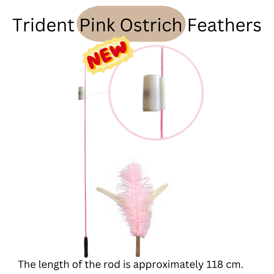 Extra Long Replaceable Teaser - New Version with Bird Chirping Device