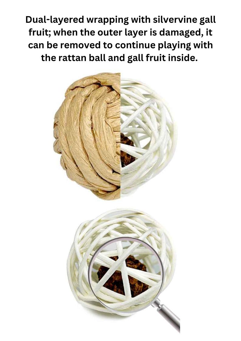 Woven Silvervine Gall Fruit Ball