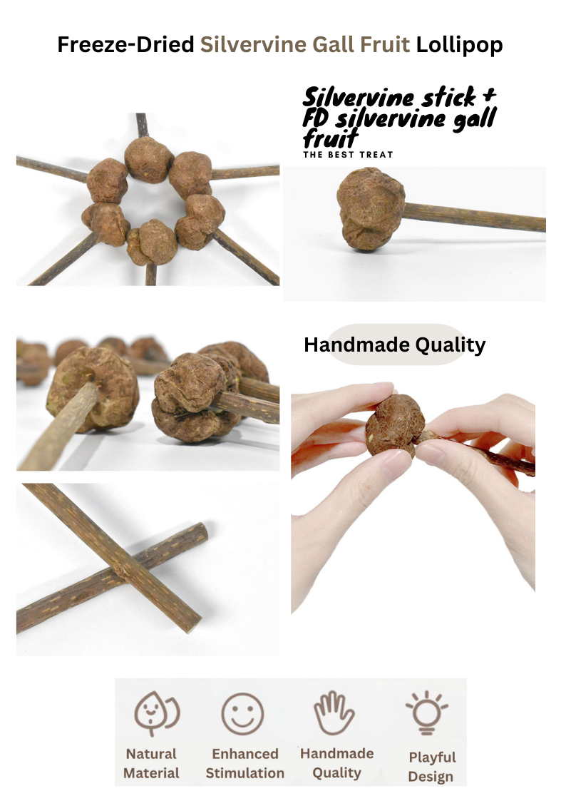 Freeze Dried Silvervine Gall Fruit Toys