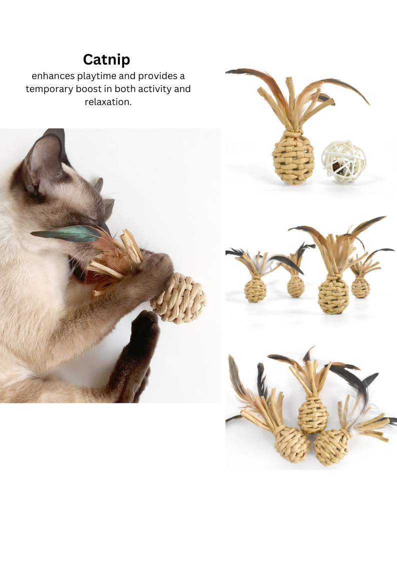 Woven Catnip Pineapple