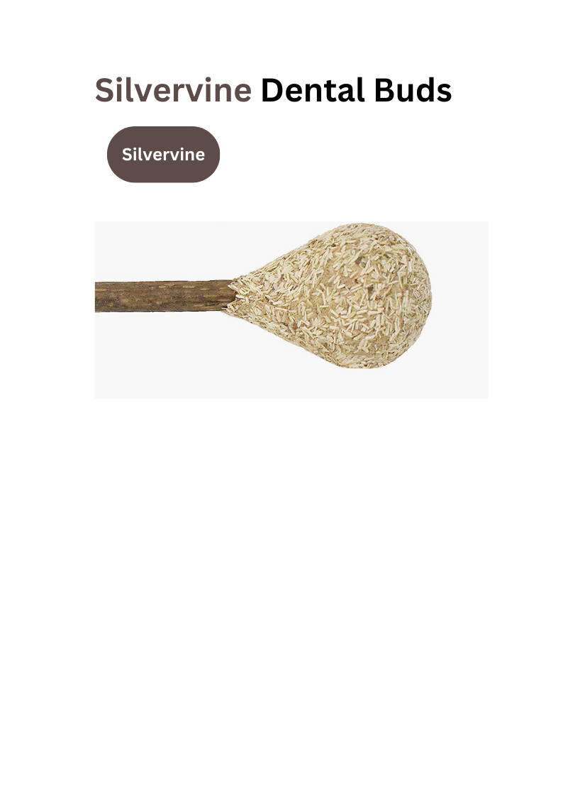 Catnip / Silvervine Dental Buds