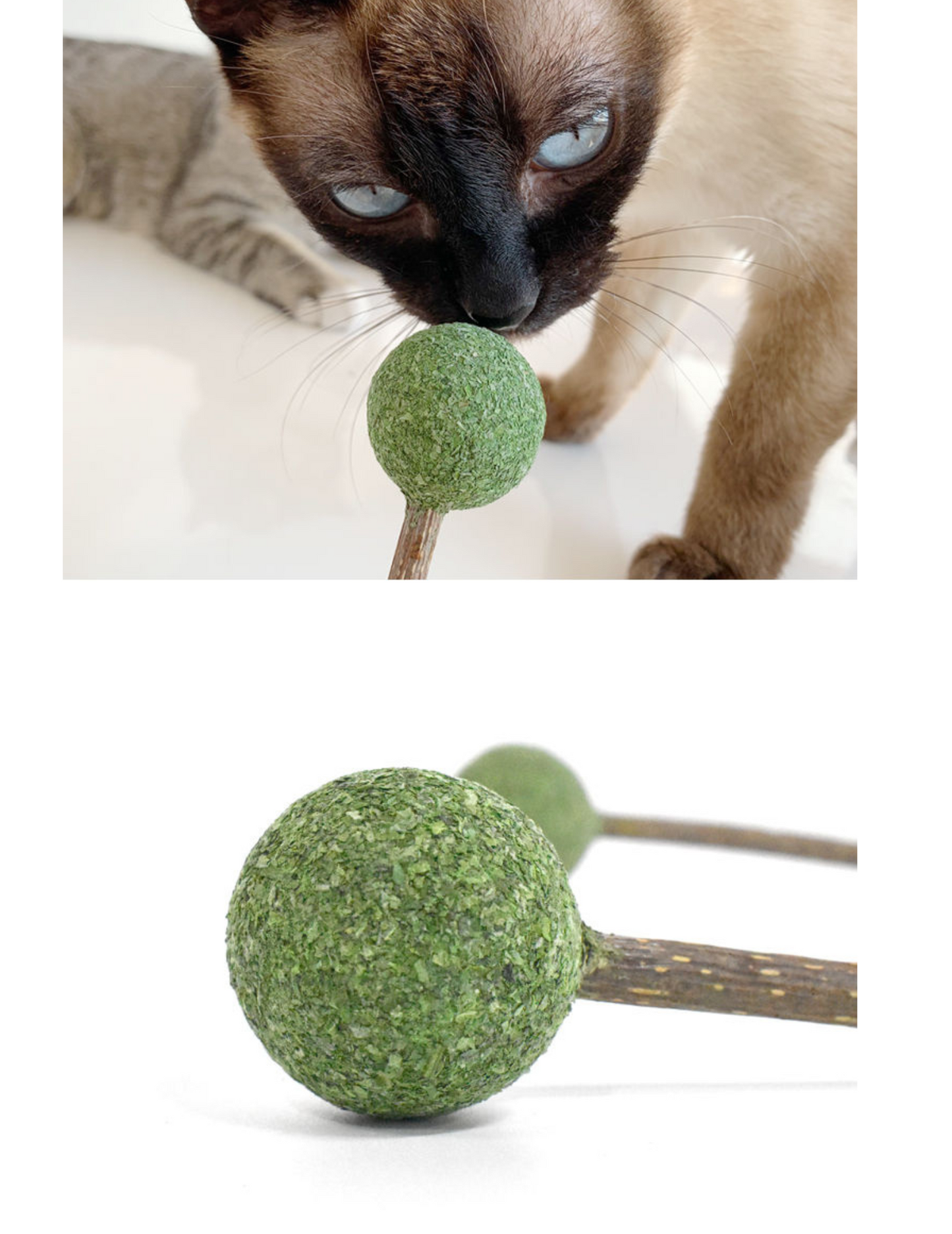 Catnip / Silvervine Lollipop