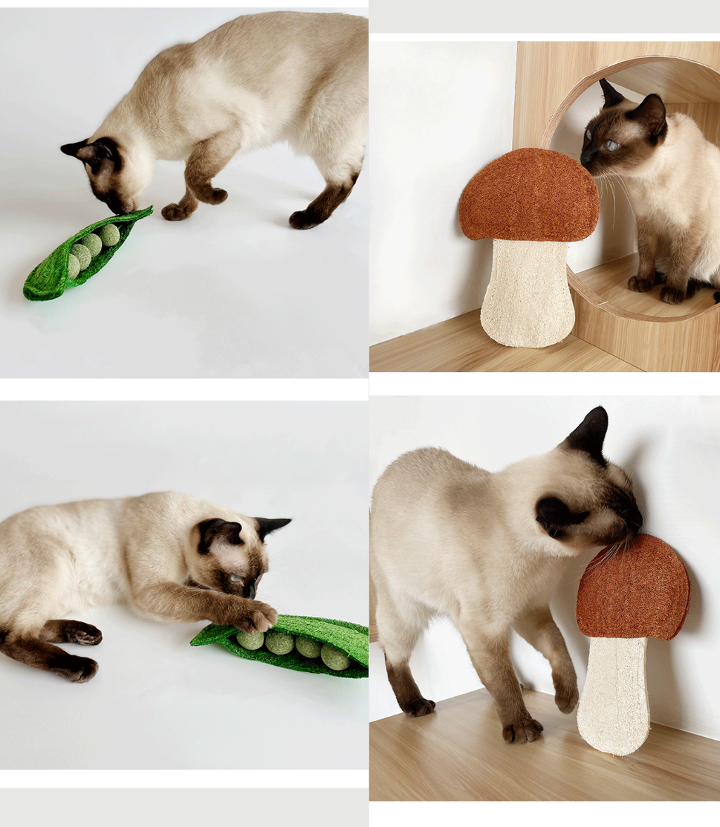 Natural Loofah Series