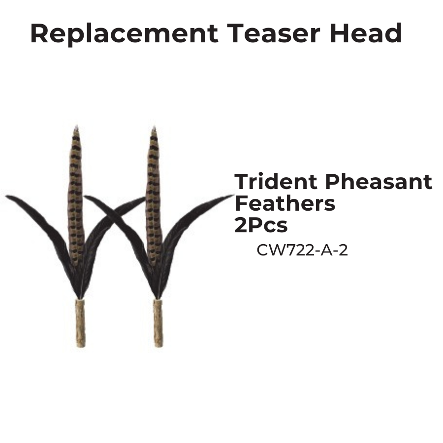 Extra Long Replaceable Teaser - New Version with Bird Chirping Device