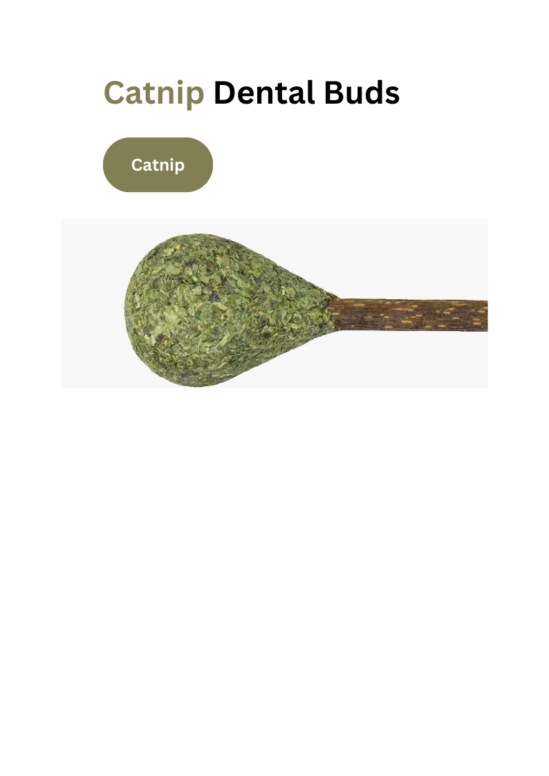 Catnip / Silvervine Dental Buds