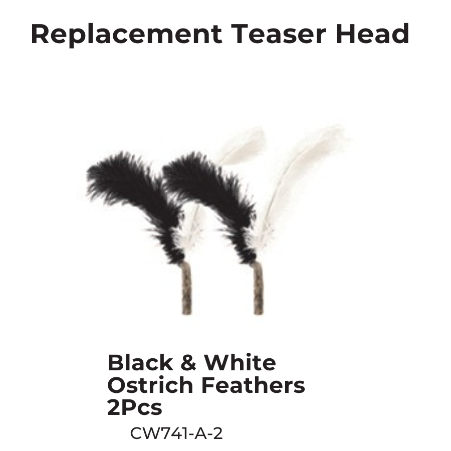 Extra Long Replaceable Teaser - New Version with Bird Chirping Device