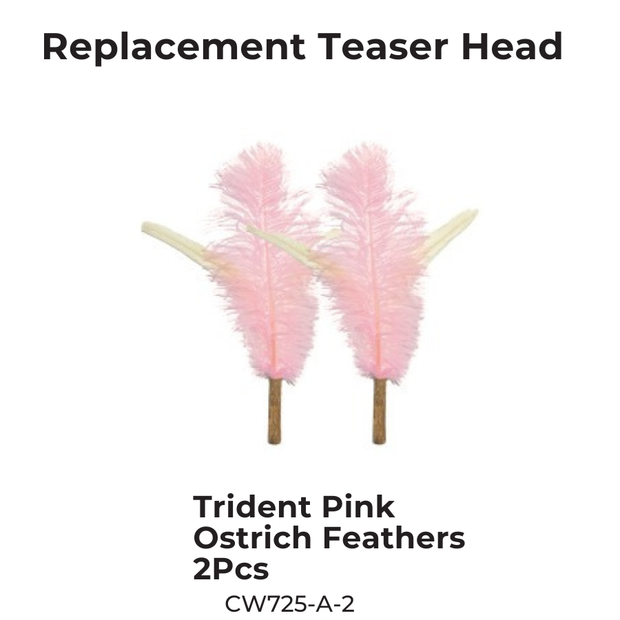 Extra Long Replaceable Teaser - New Version with Bird Chirping Device