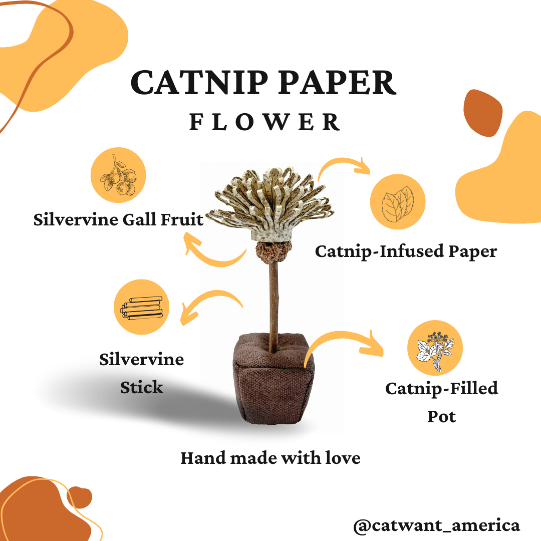 Catnip Paper Flower