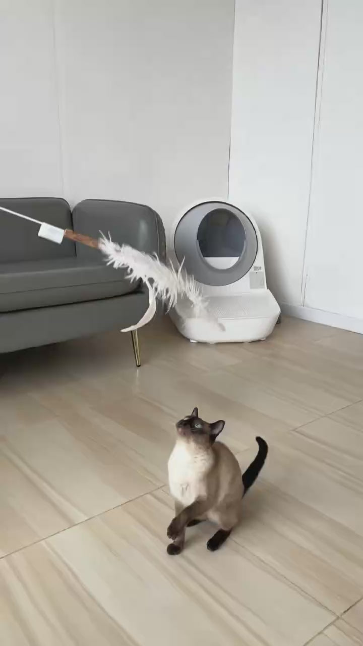 Extra Long Replaceable Teaser - New Version with Bird Chirping Device