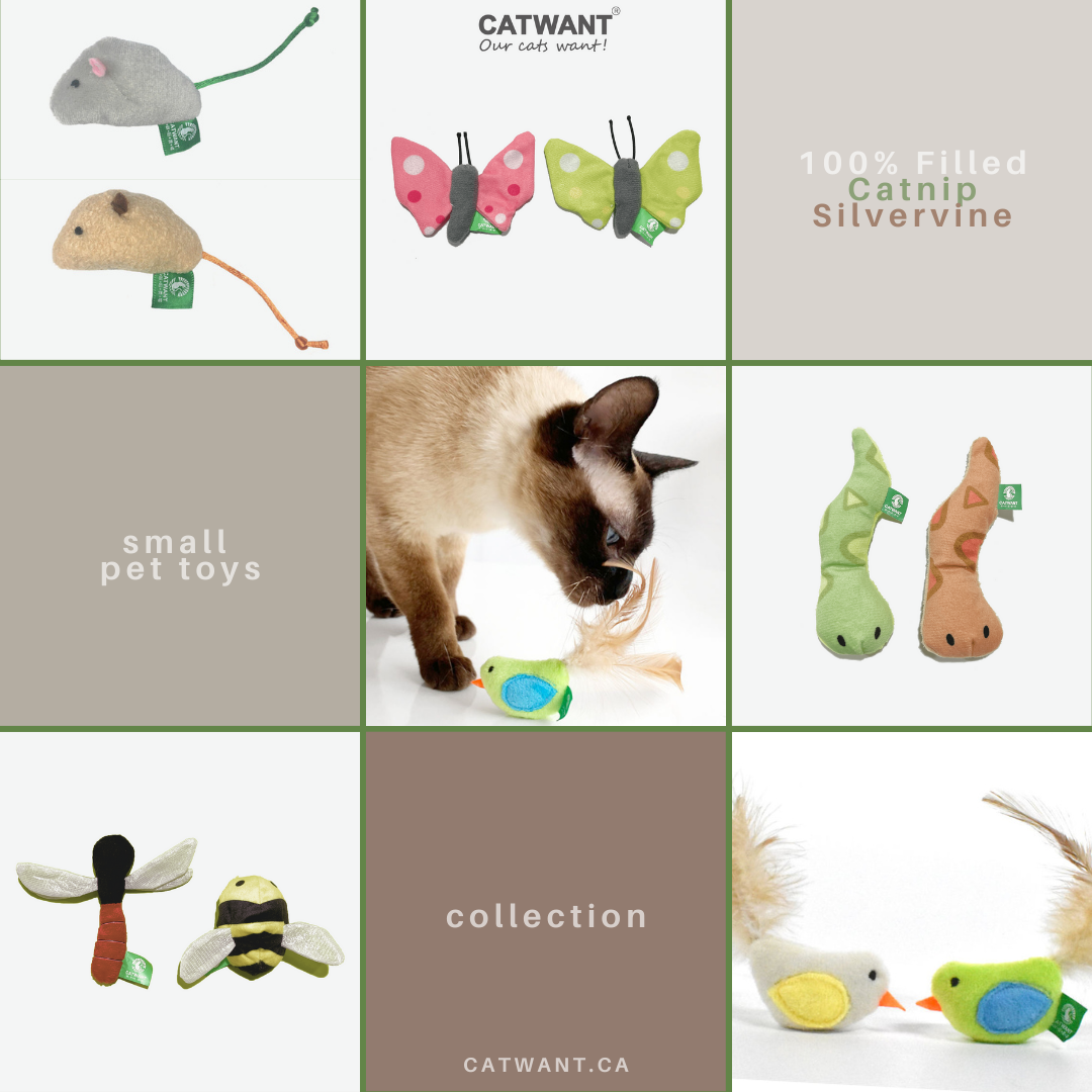 Catnip/Silvervine Small Pet Toys